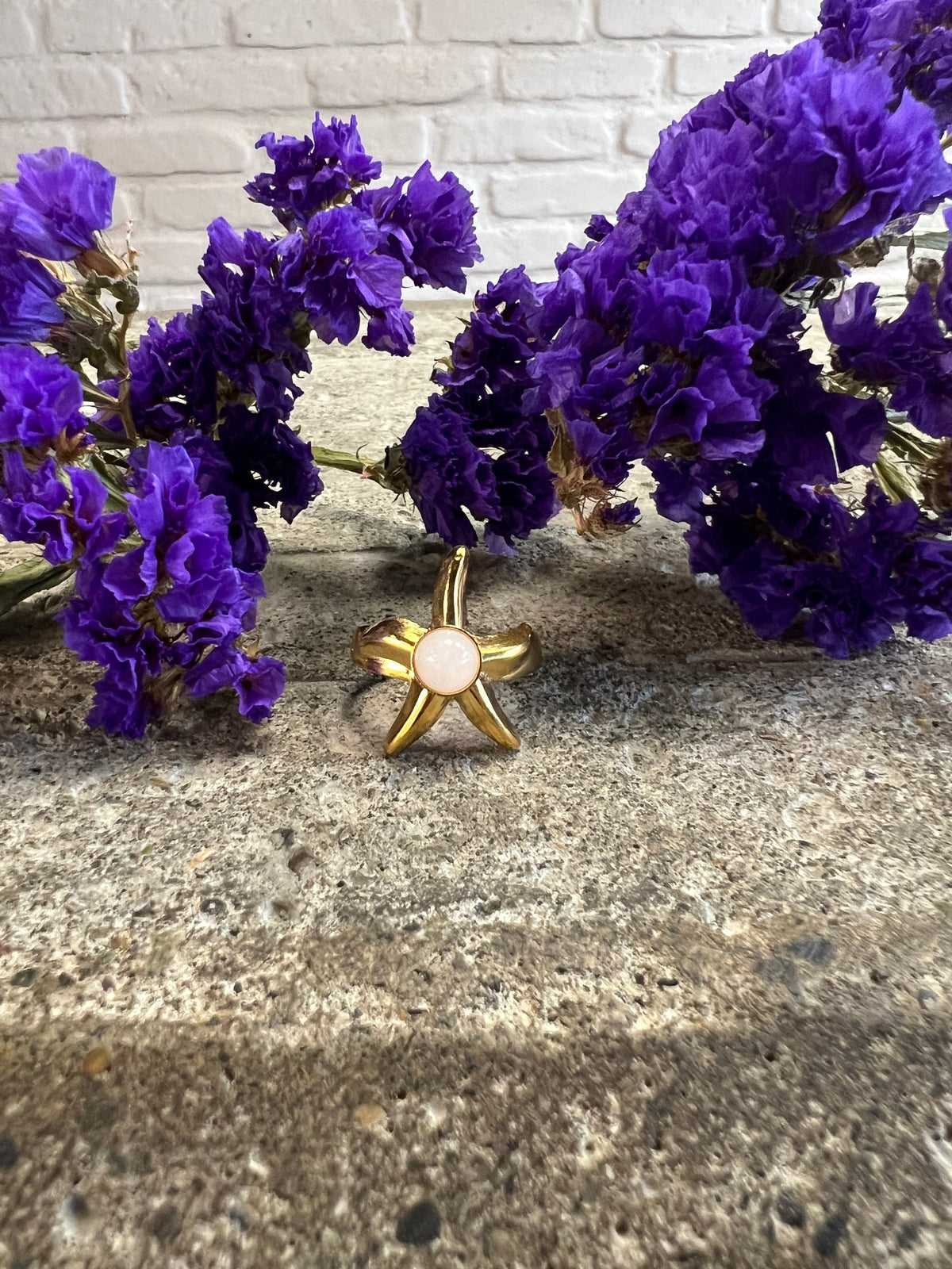 ANILLO MEDIANO