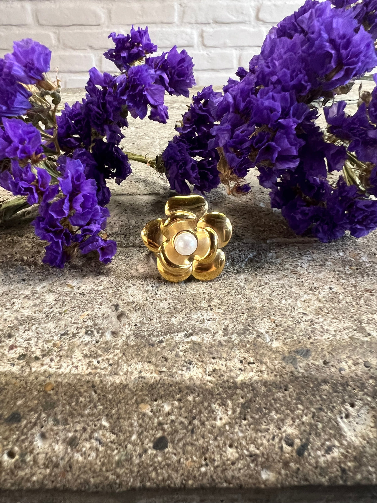 ANILLO MEDIANO
