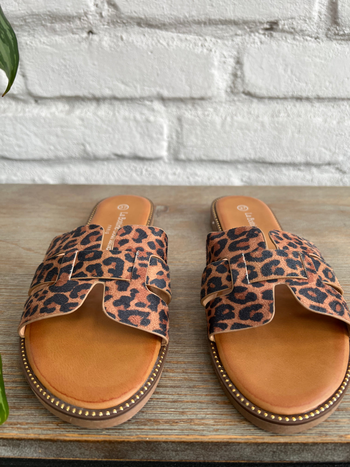 FLATS CRUZADAS LEOPARD