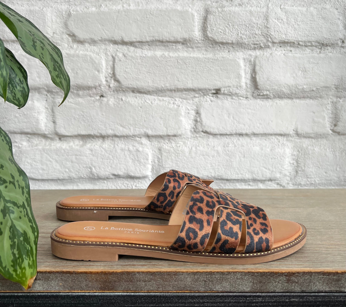 FLATS CRUZADAS LEOPARD