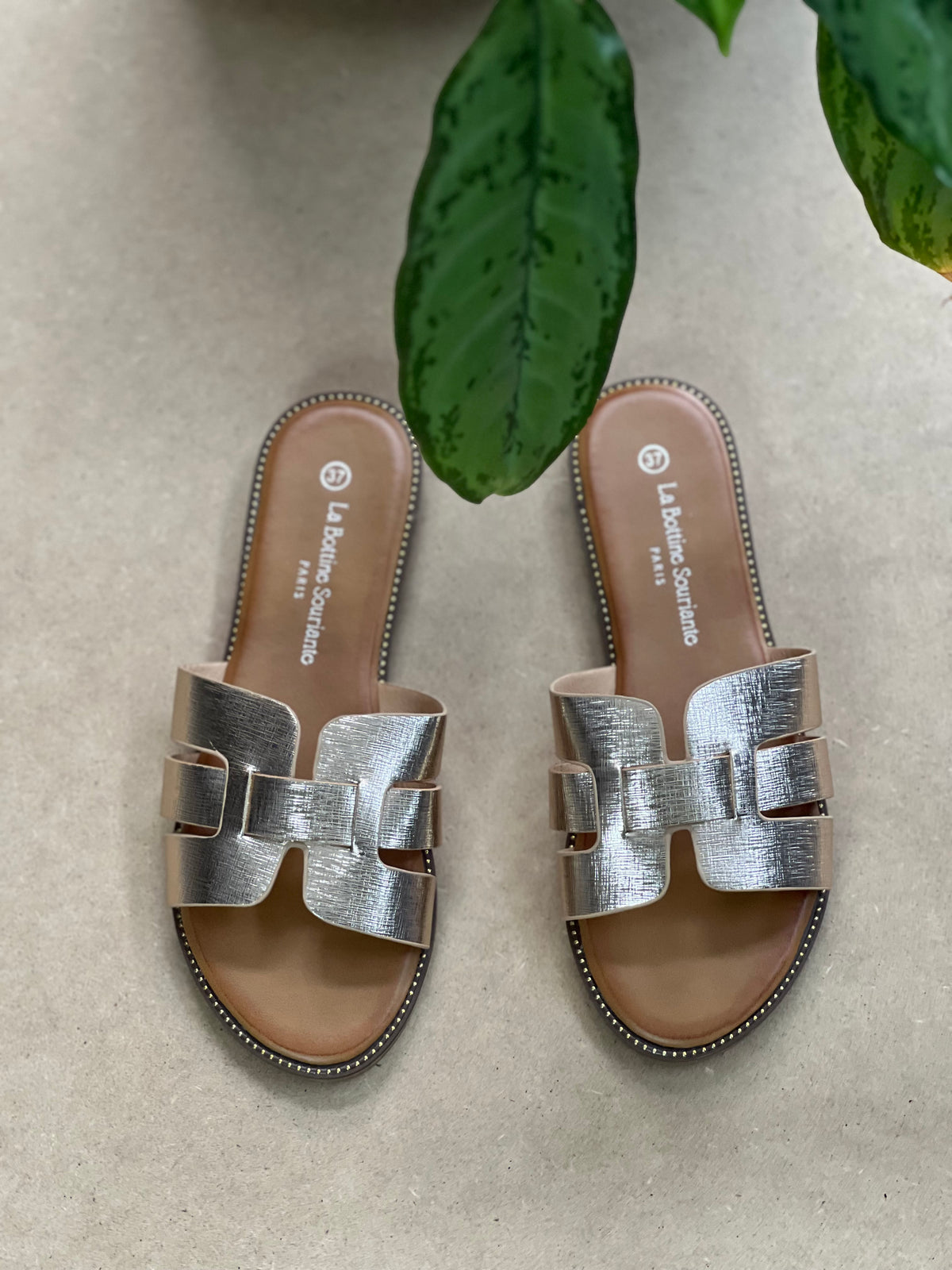 FLATS CRUZADAS