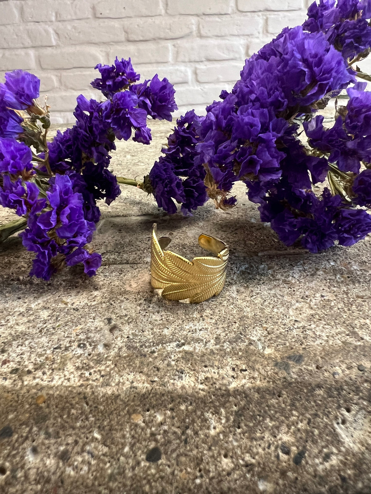 ANILLO MEDIANO