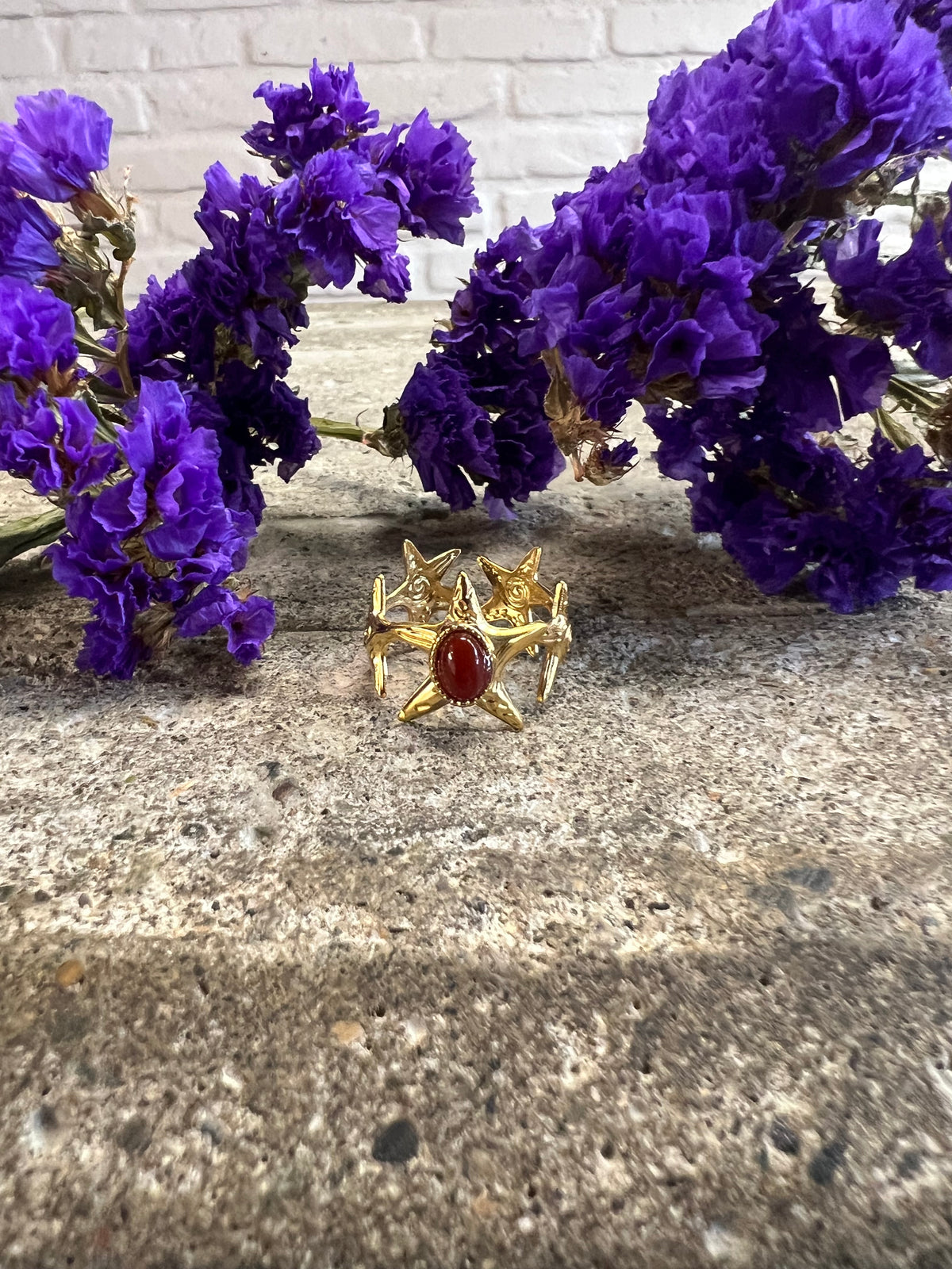 ANILLO MEDIANO