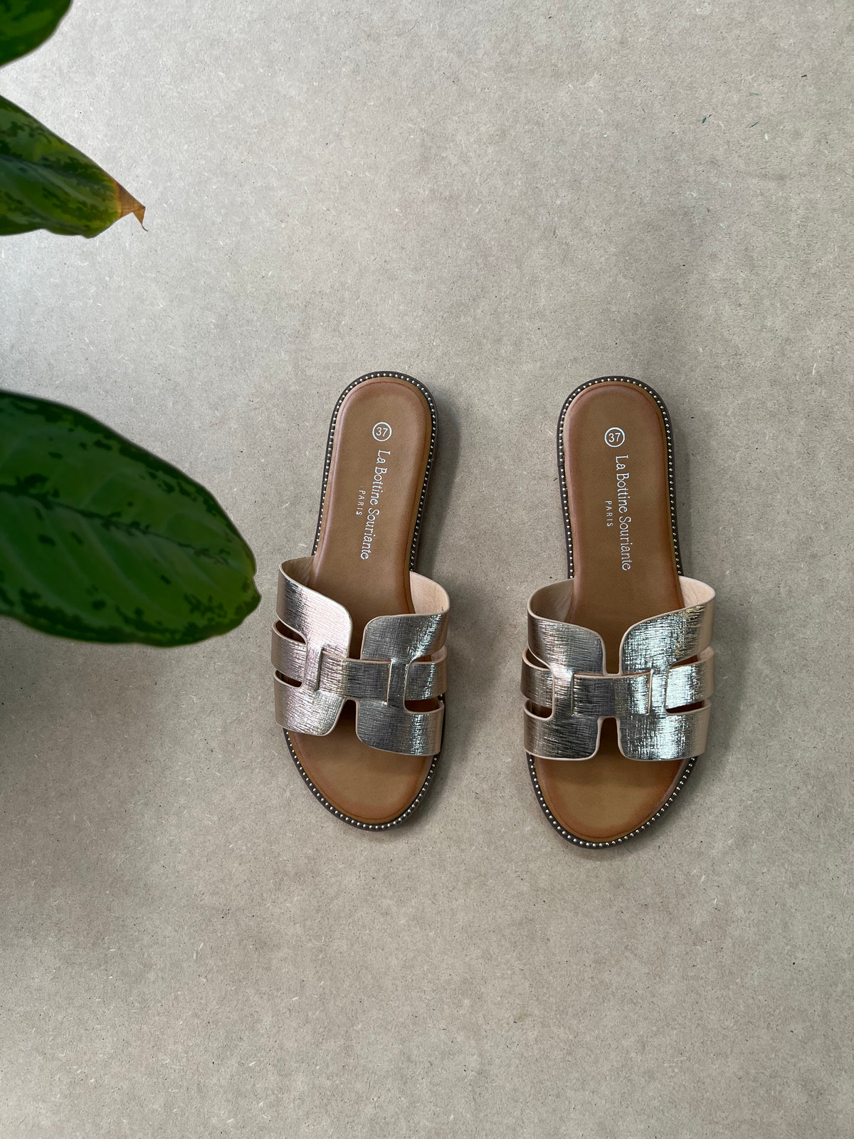 FLATS CRUZADAS