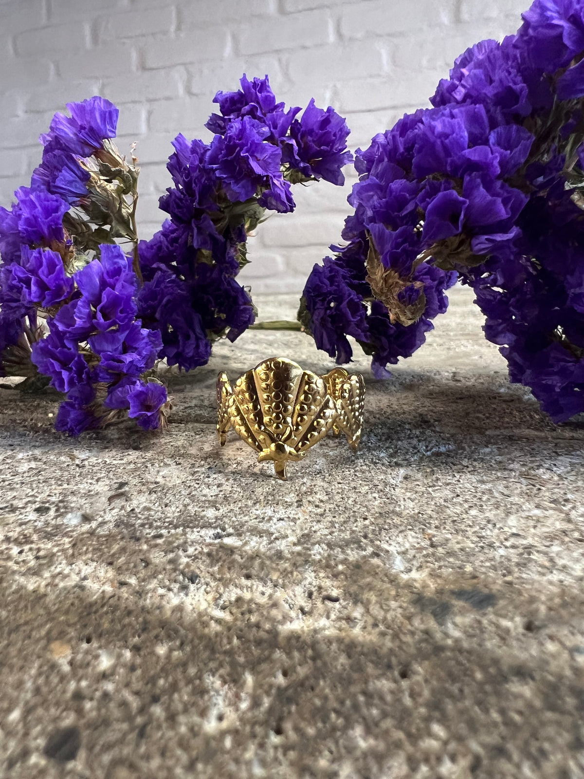 ANILLO MEDIANO
