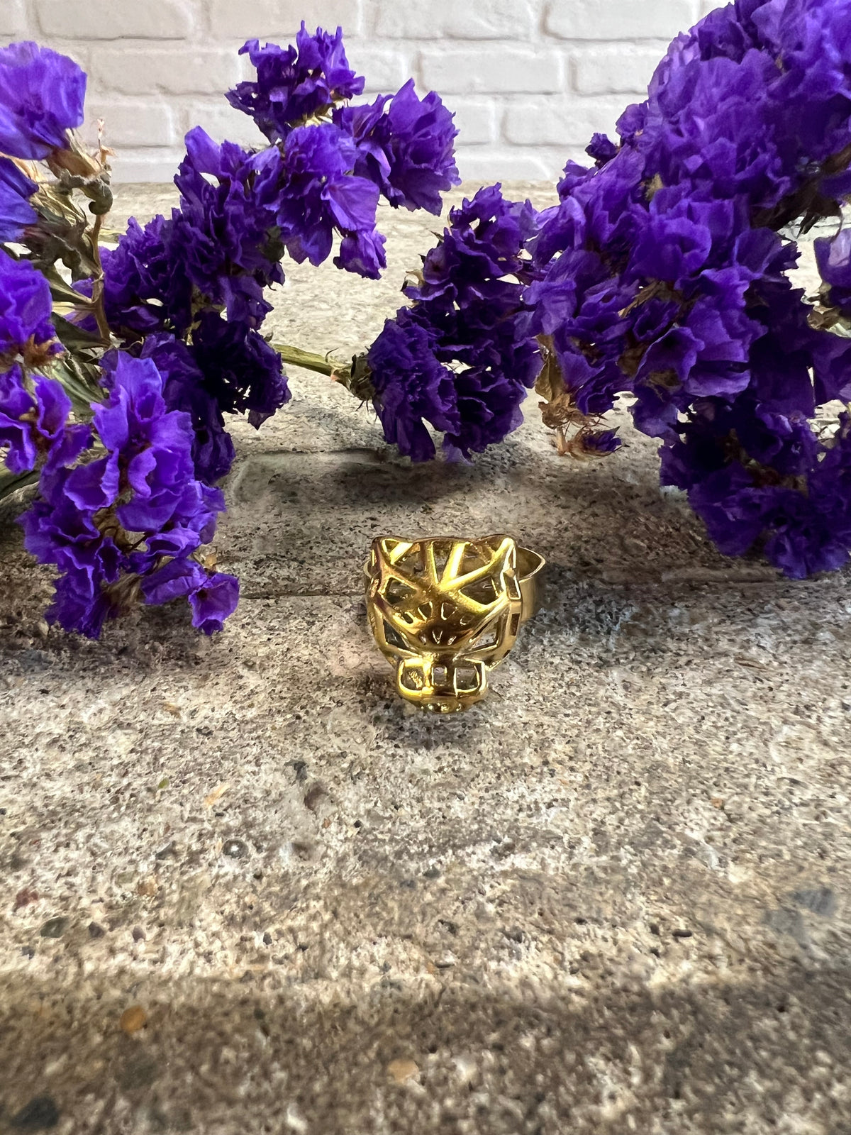 ANILLO MEDIANO