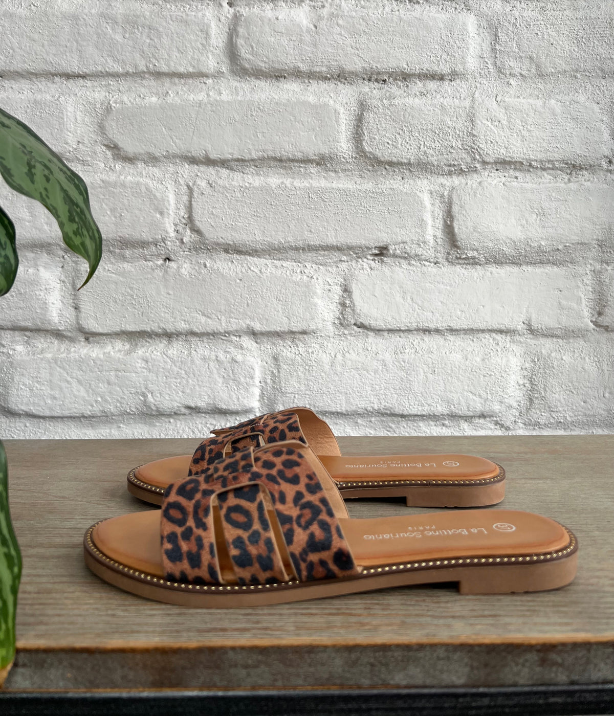 FLATS CRUZADAS LEOPARD