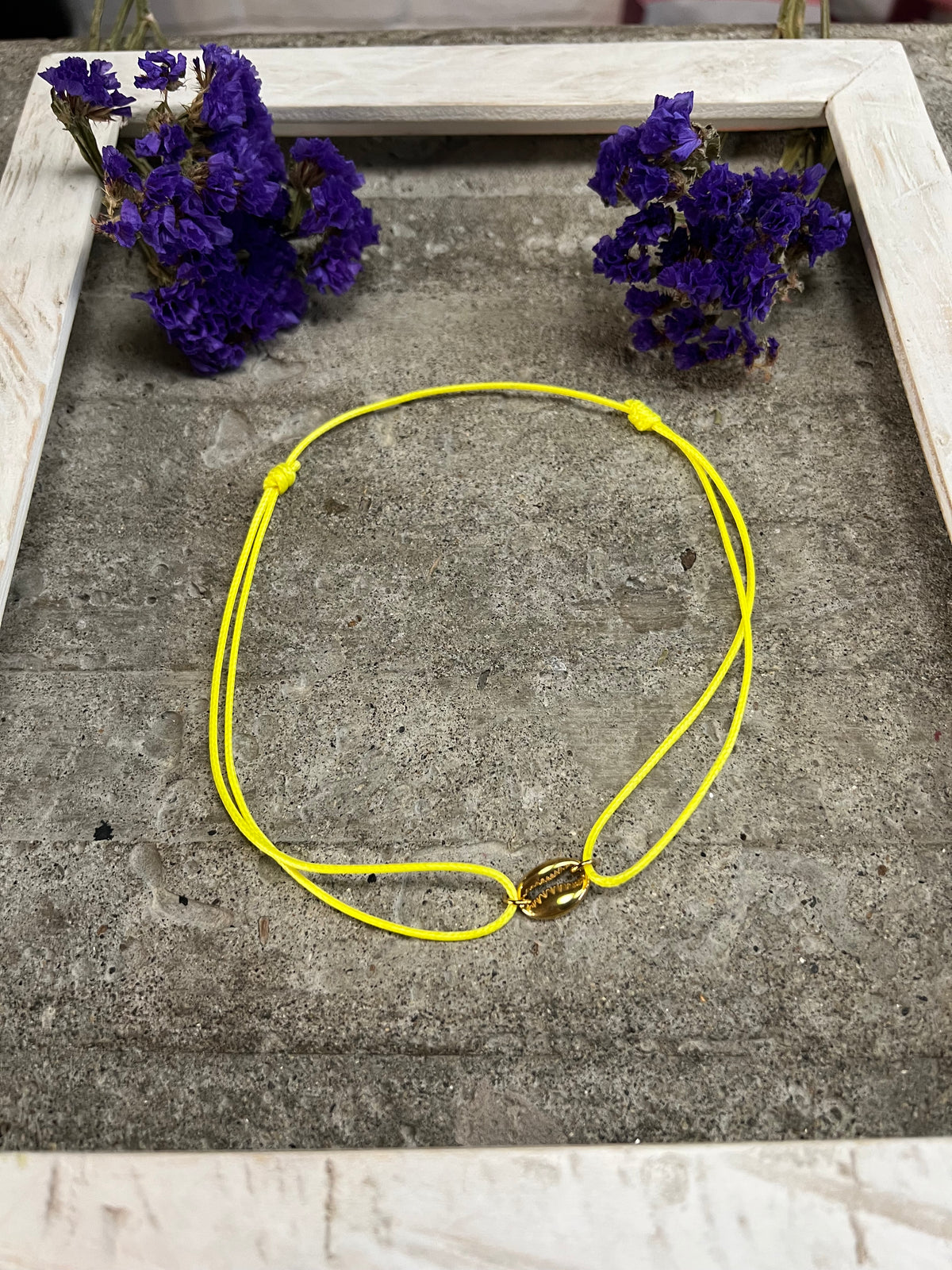 COLLAR COLORES CONCHA