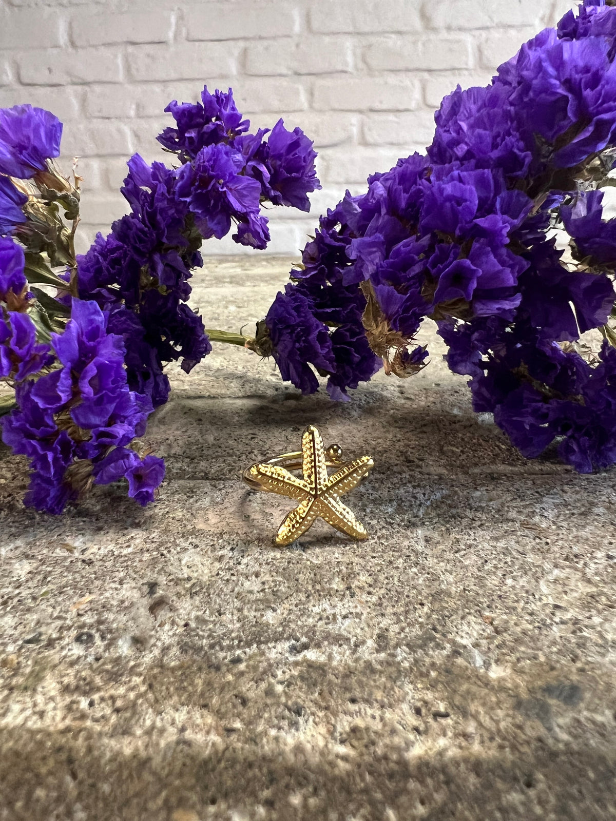 ANILLO MEDIANO