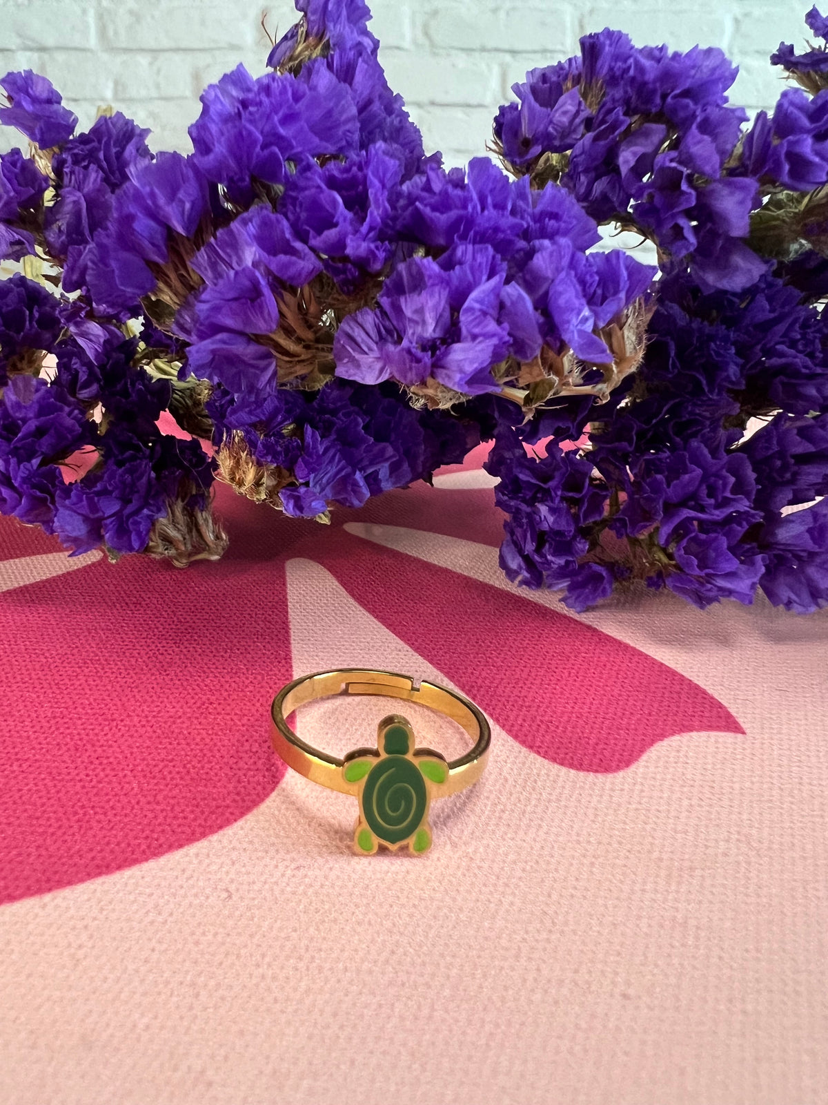 ANILLO PEQUEÑO