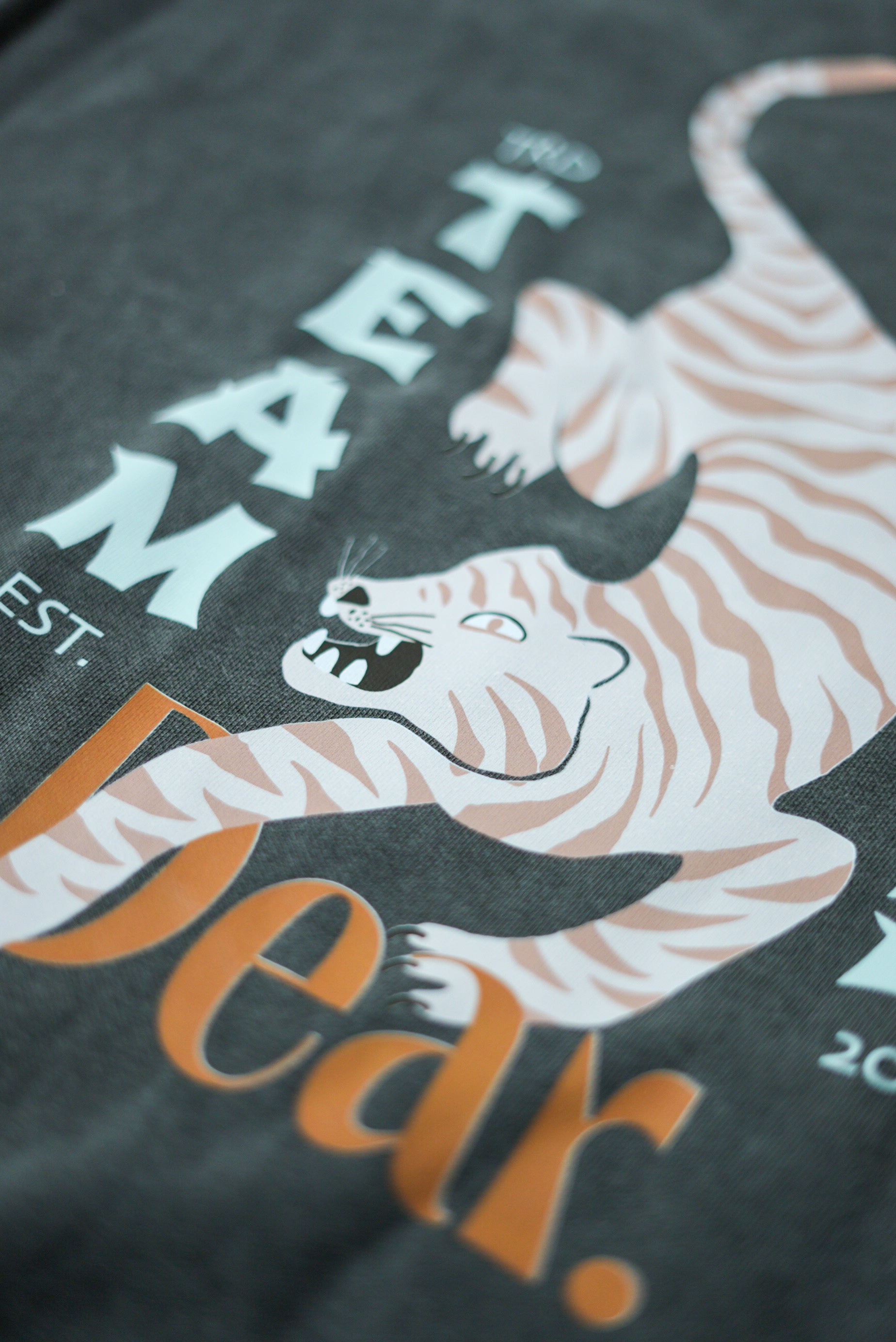SACO TEAM ROAR