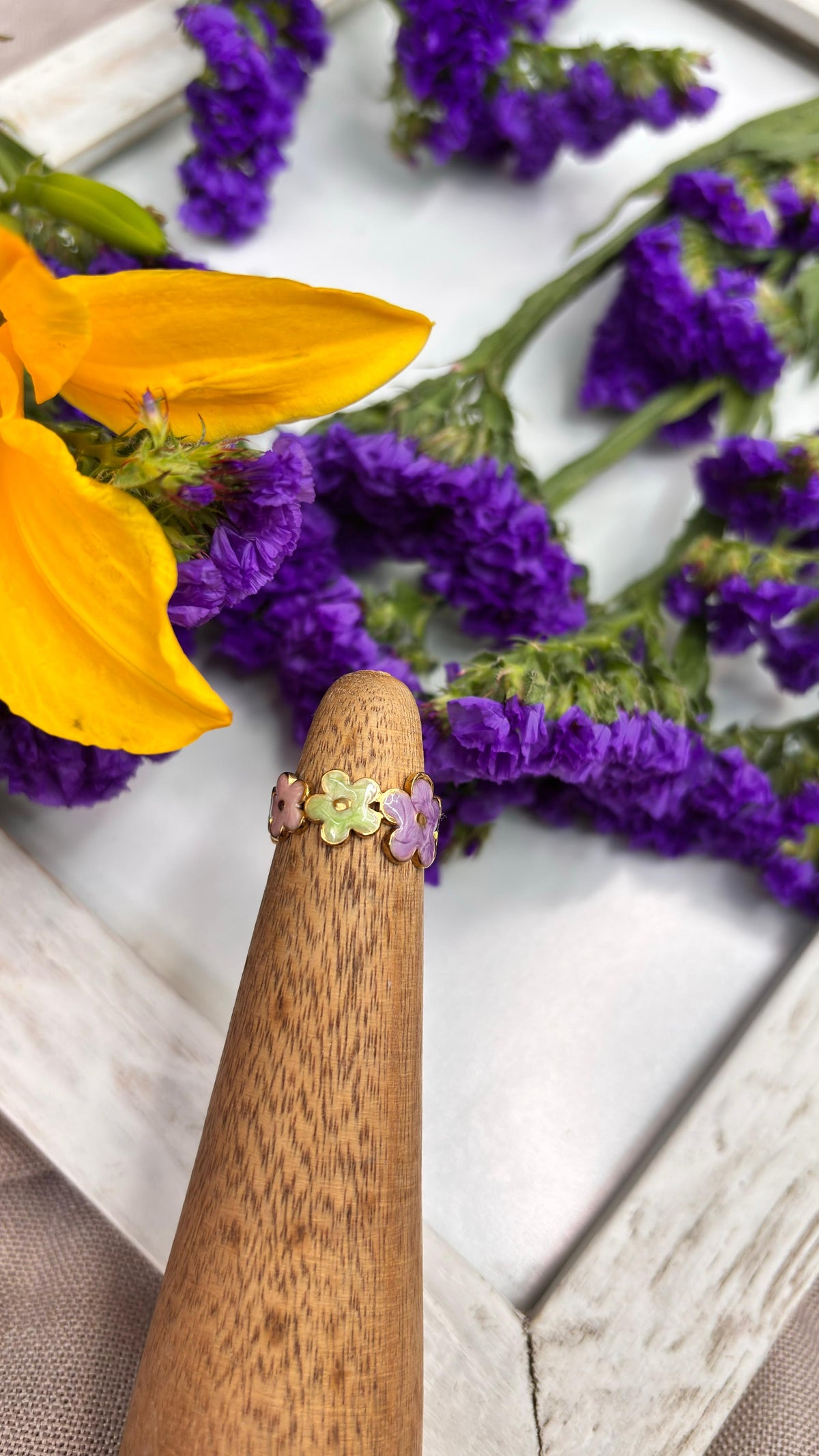 ANILLO MEDIANO